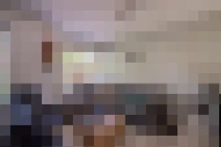 Gierelaar 91 Wouw thumbnail 7