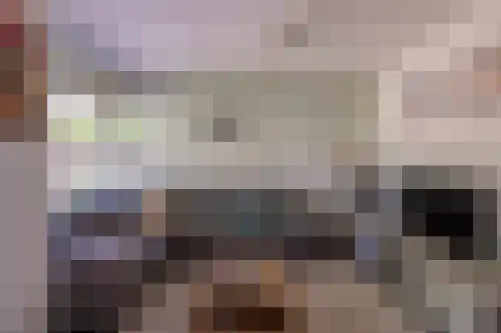 Gierelaar 91 Wouw thumbnail 8