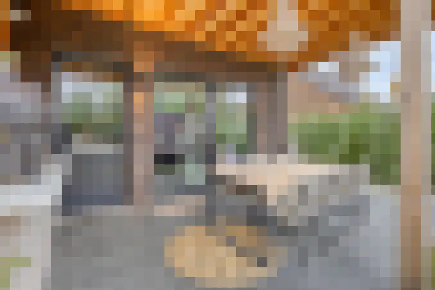 Gierlestraat 14 a Baarle-Nassau thumbnail 31
