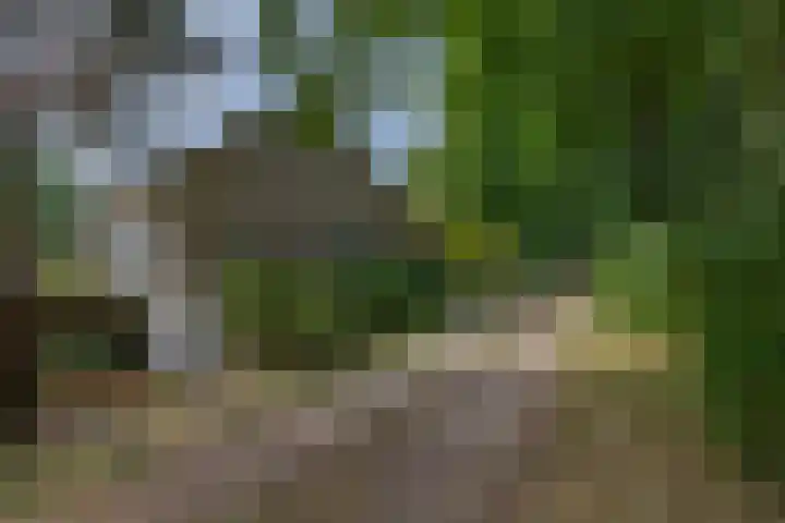 Giersbergen 16 Drunen thumbnail 4