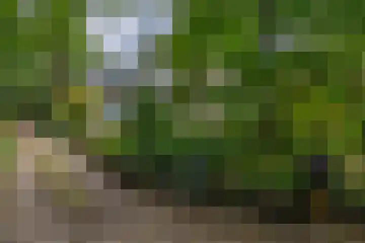 Giersbergen 16 Drunen thumbnail 50