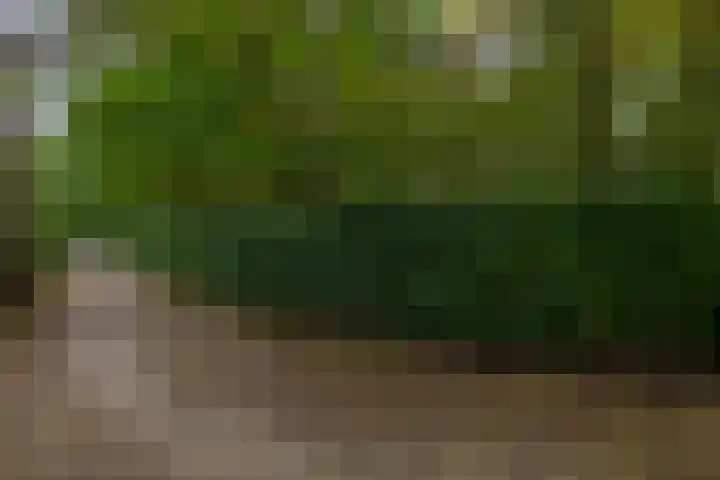 Giersbergen 16 Drunen thumbnail 51