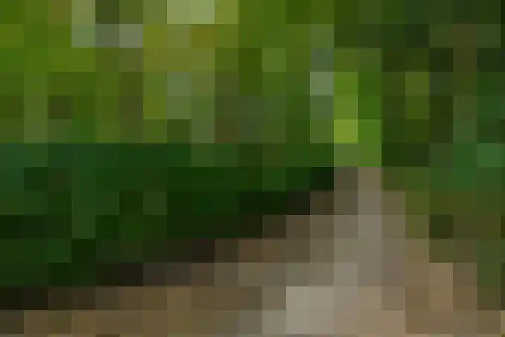 Giersbergen 16 Drunen thumbnail 52