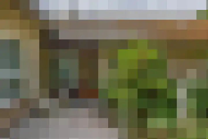 Giersbergen 16 Drunen thumbnail 6