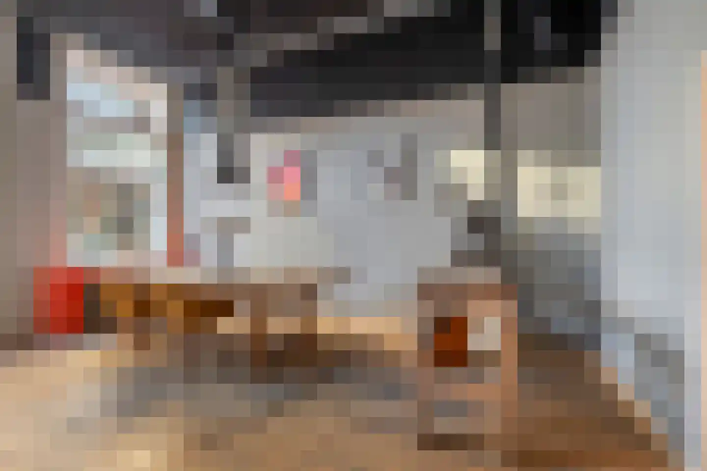 Gierstraat 43 Haarlem thumbnail 7