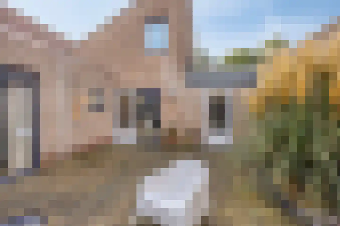 Giervalk 31 Emmen thumbnail 33