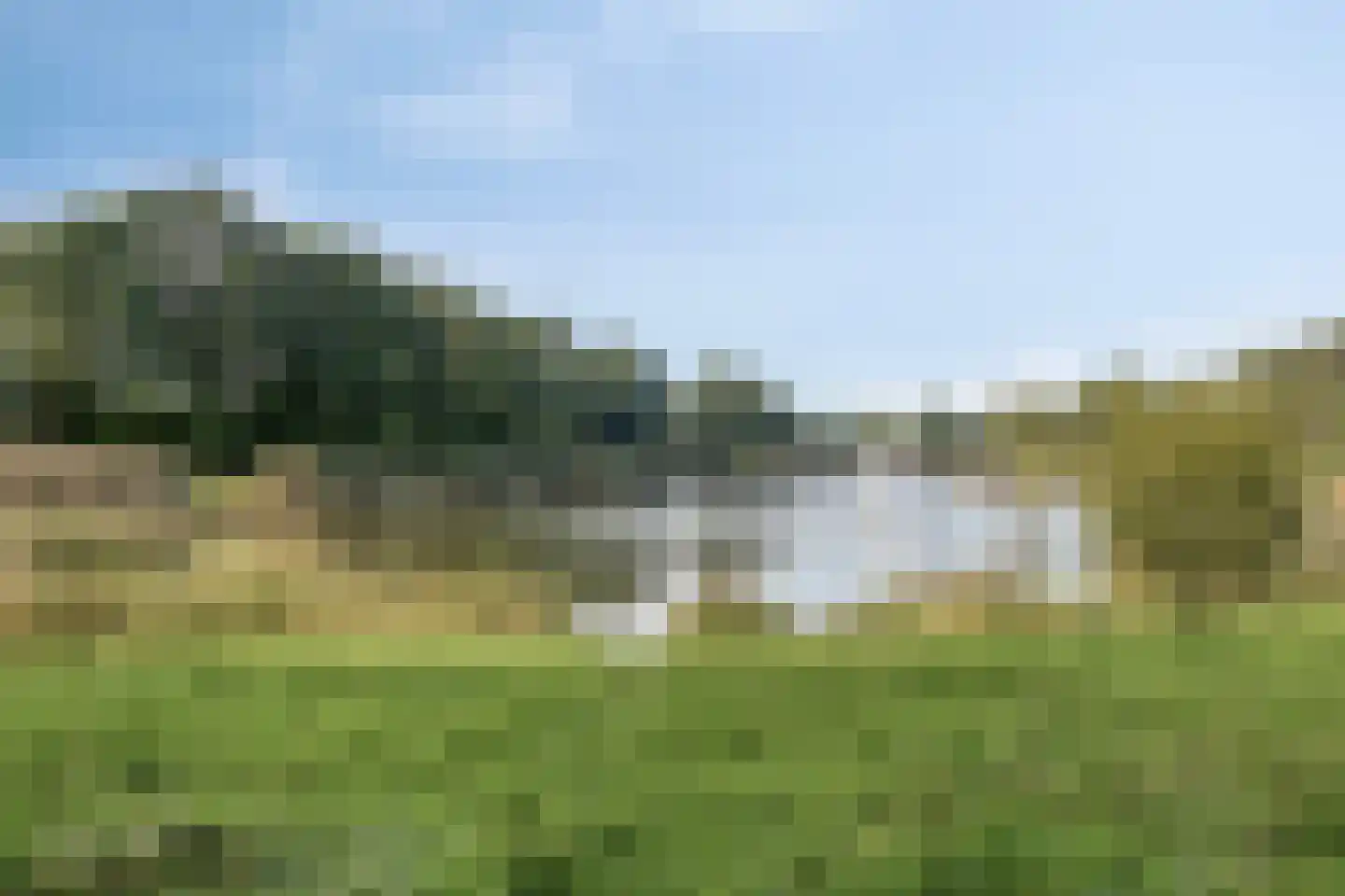 Giervalk 31 Emmen thumbnail 34