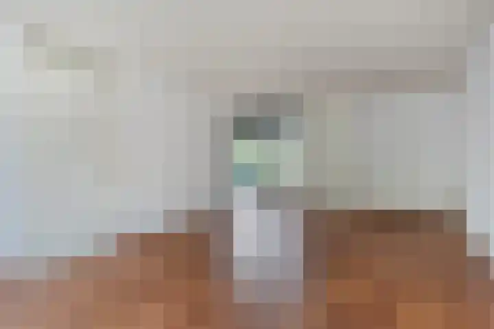 Giervalk 32 Emmen thumbnail 11