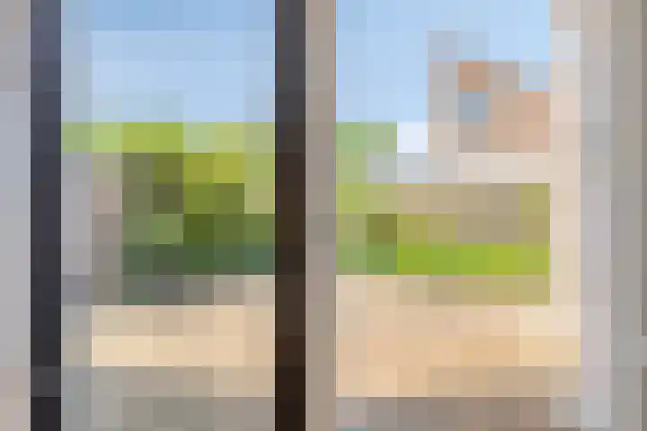 Giervalk 32 Emmen thumbnail 12