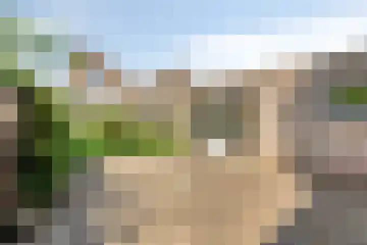 Giervalk 32 Emmen thumbnail 29