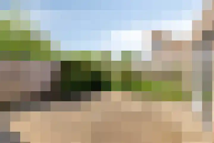 Giervalk 32 Emmen thumbnail 30