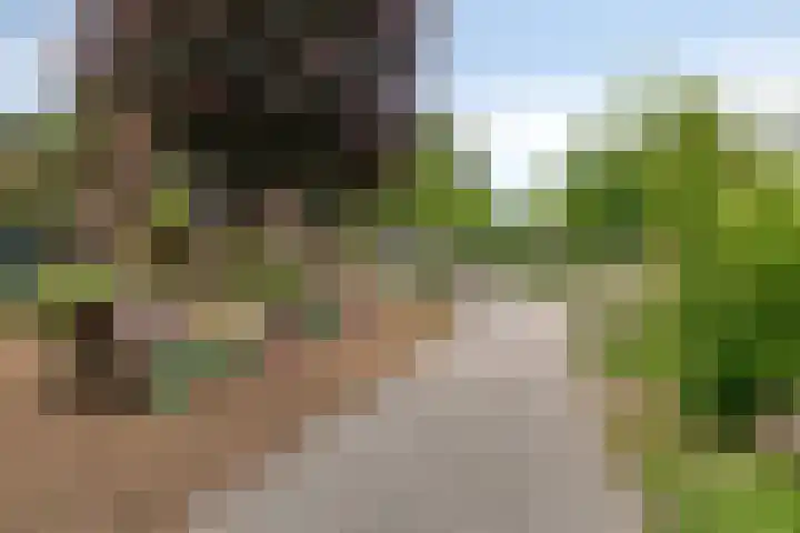 Giervalk 32 Emmen thumbnail 31