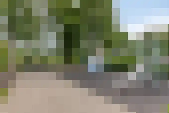 Giervalk 32 Emmen thumbnail 32