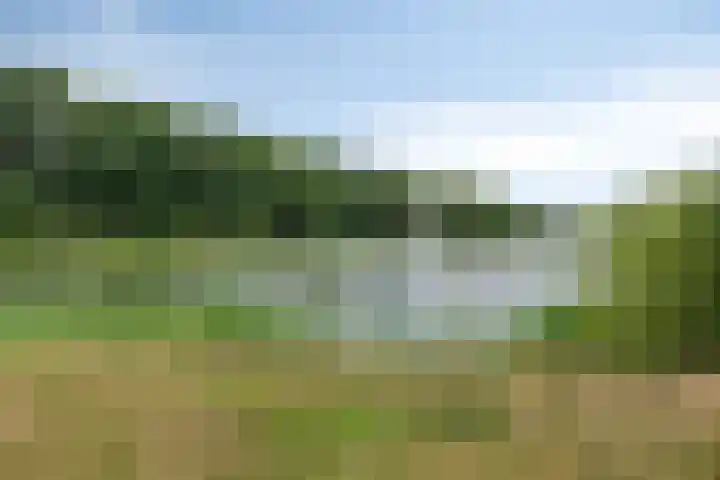 Giervalk 32 Emmen thumbnail 33