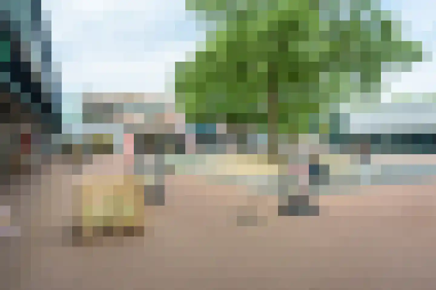 Giervalk 40 Emmen thumbnail 31