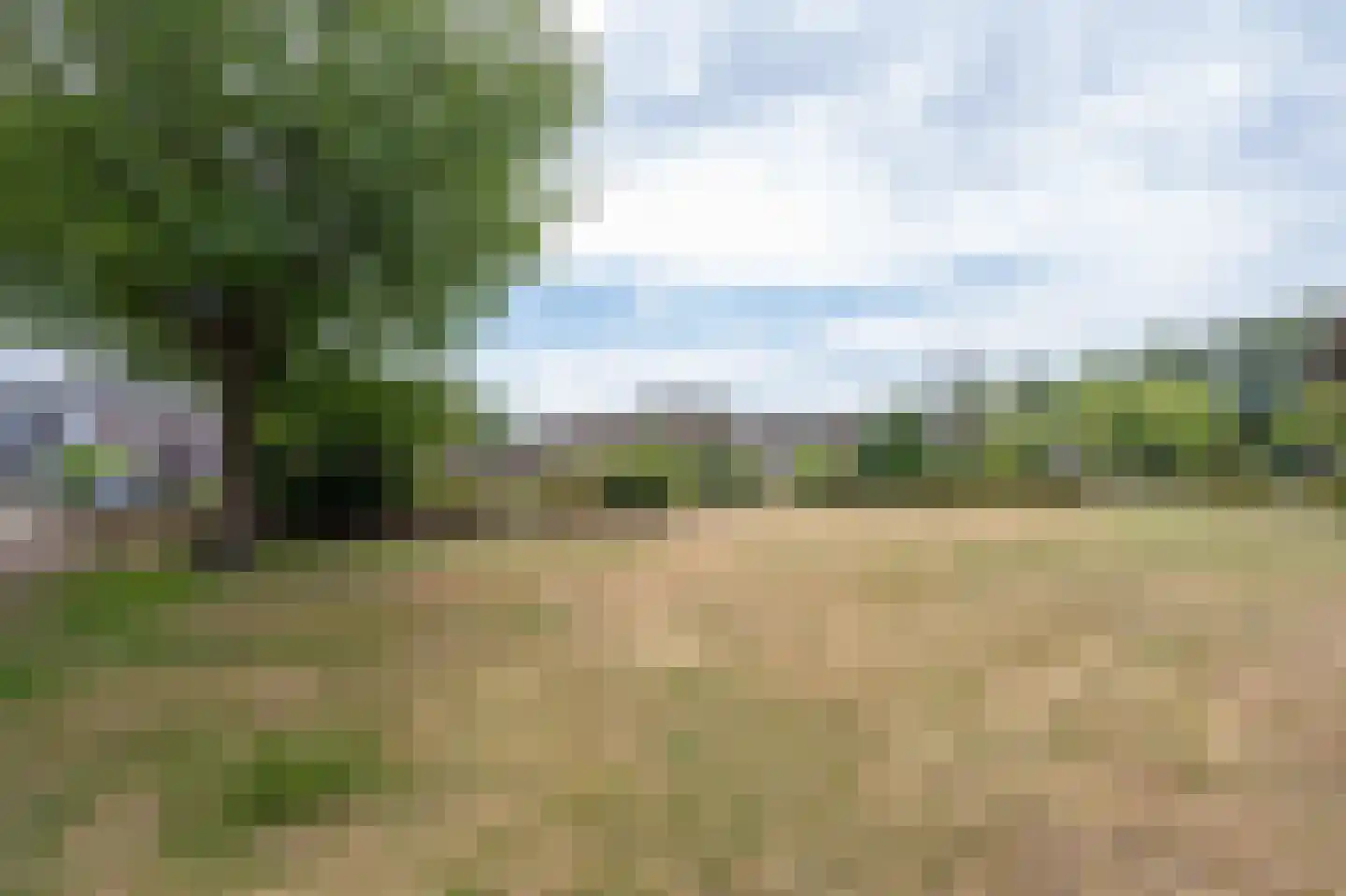Giervalk 40 Emmen thumbnail 33