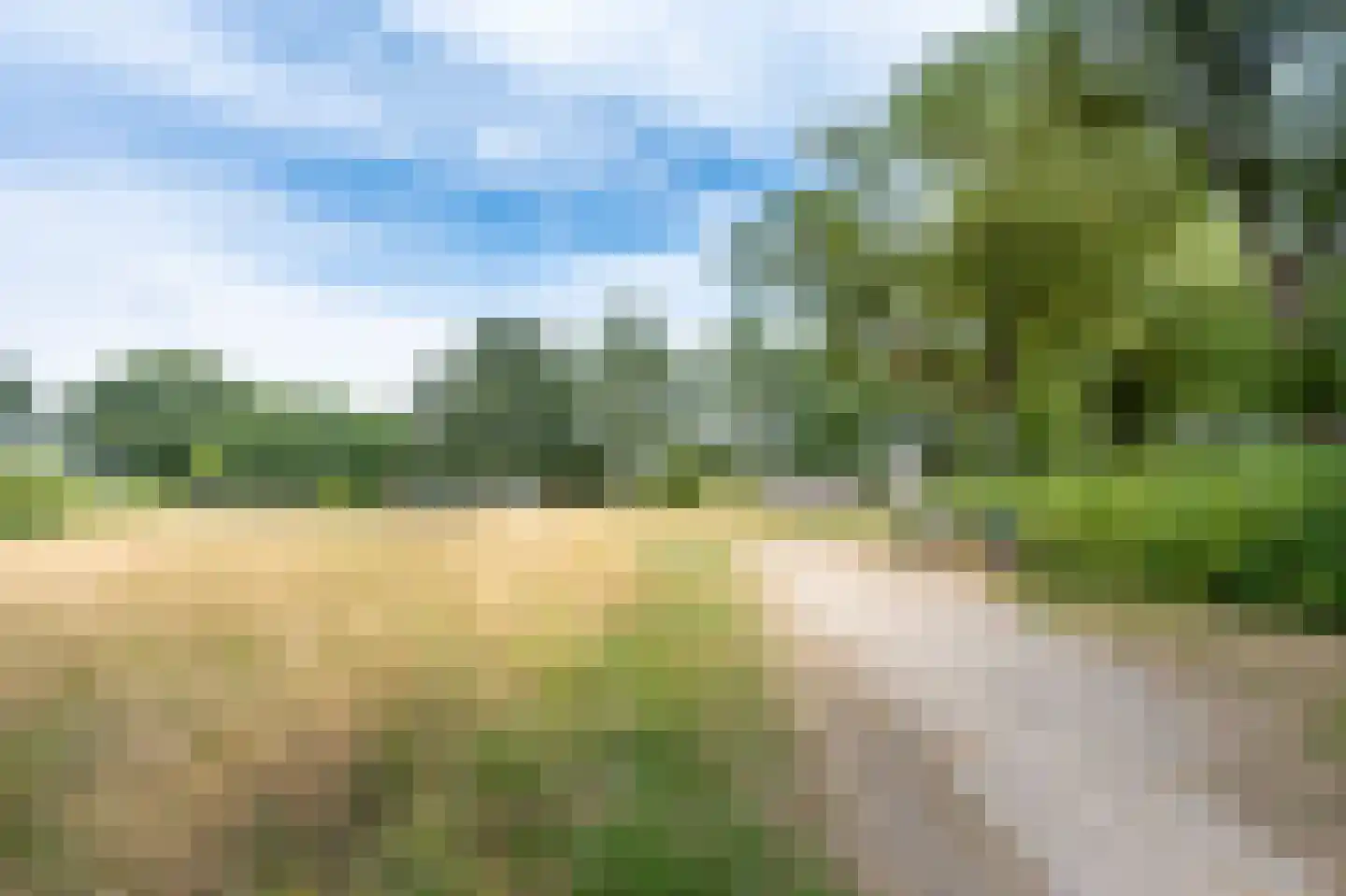 Giervalk 40 Emmen thumbnail 34