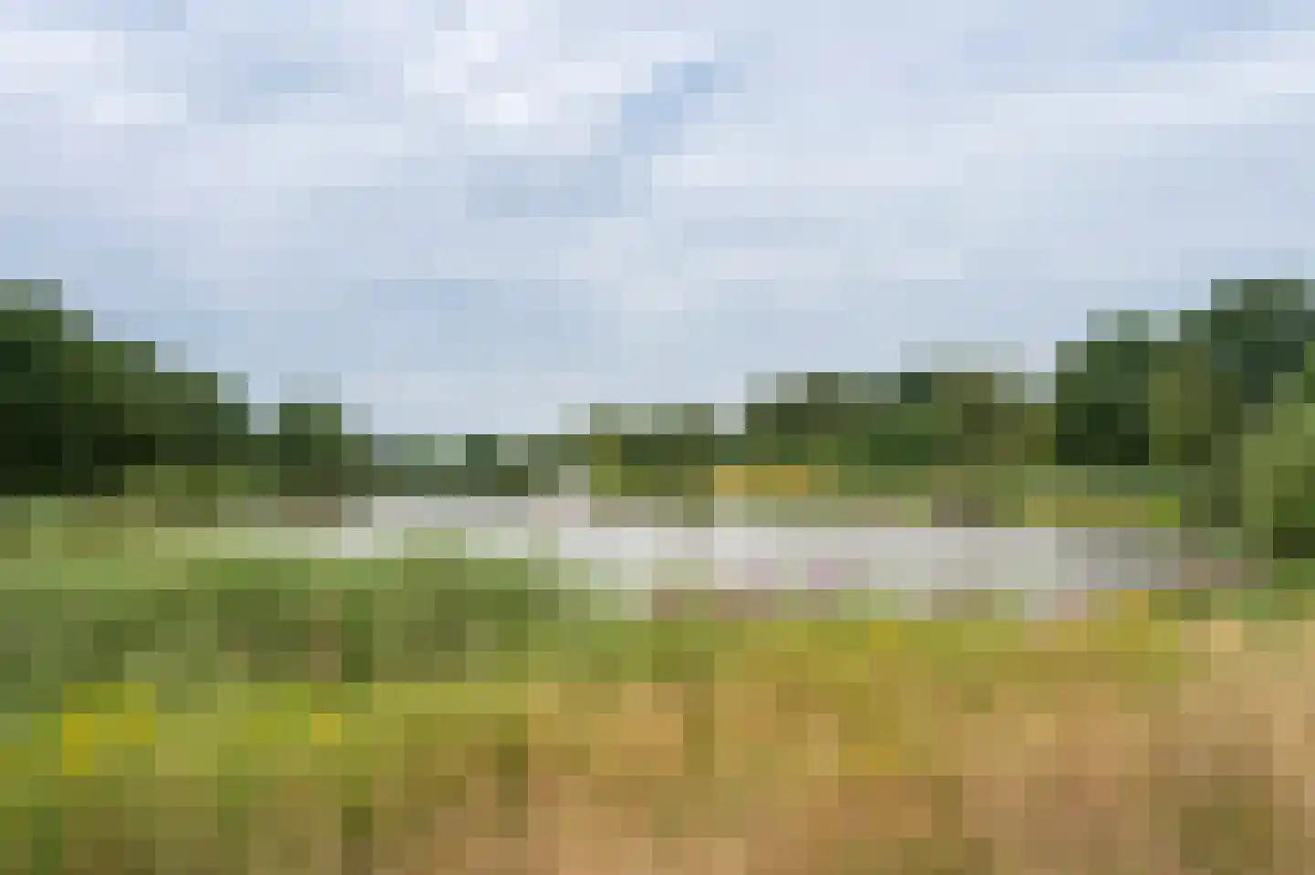 Giervalk 40 Emmen thumbnail 35