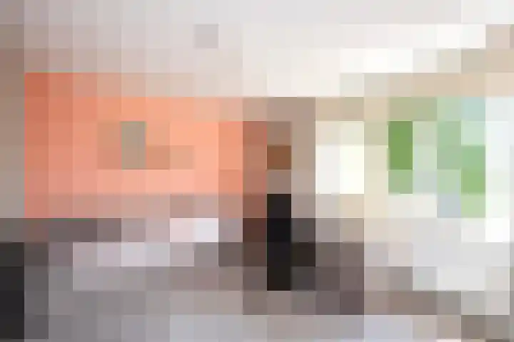 Giesbeek 19 Zwolle thumbnail 13