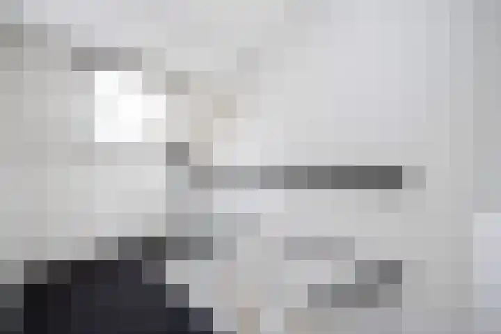 Giesbeek 19 Zwolle thumbnail 21