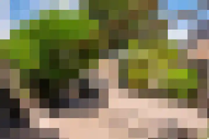 Giesbeek 19 Zwolle thumbnail 22