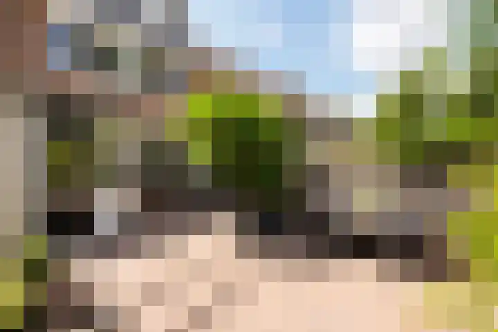 Giesbeek 19 Zwolle thumbnail 23