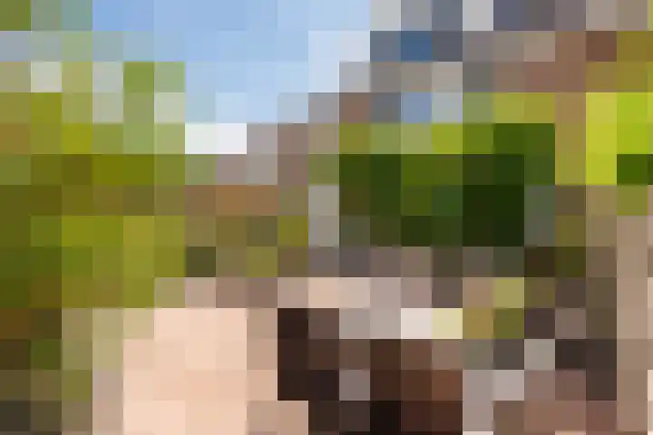 Giesbeek 19 Zwolle thumbnail 24