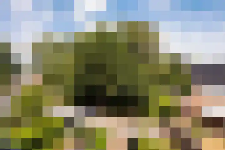 Giesbeek 19 Zwolle thumbnail 25