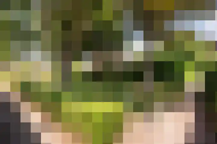 Giesbeek 19 Zwolle thumbnail 26