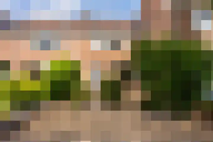 Giesbeek 19 Zwolle thumbnail 27