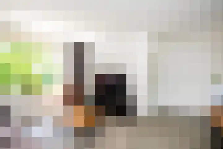 Giesbeek 19 Zwolle thumbnail 4