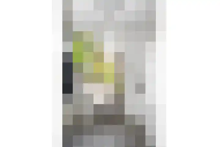 Giesbeek 19 Zwolle thumbnail 8