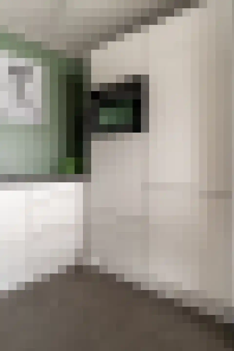 Giese Pan 45 Giesbeek thumbnail 12