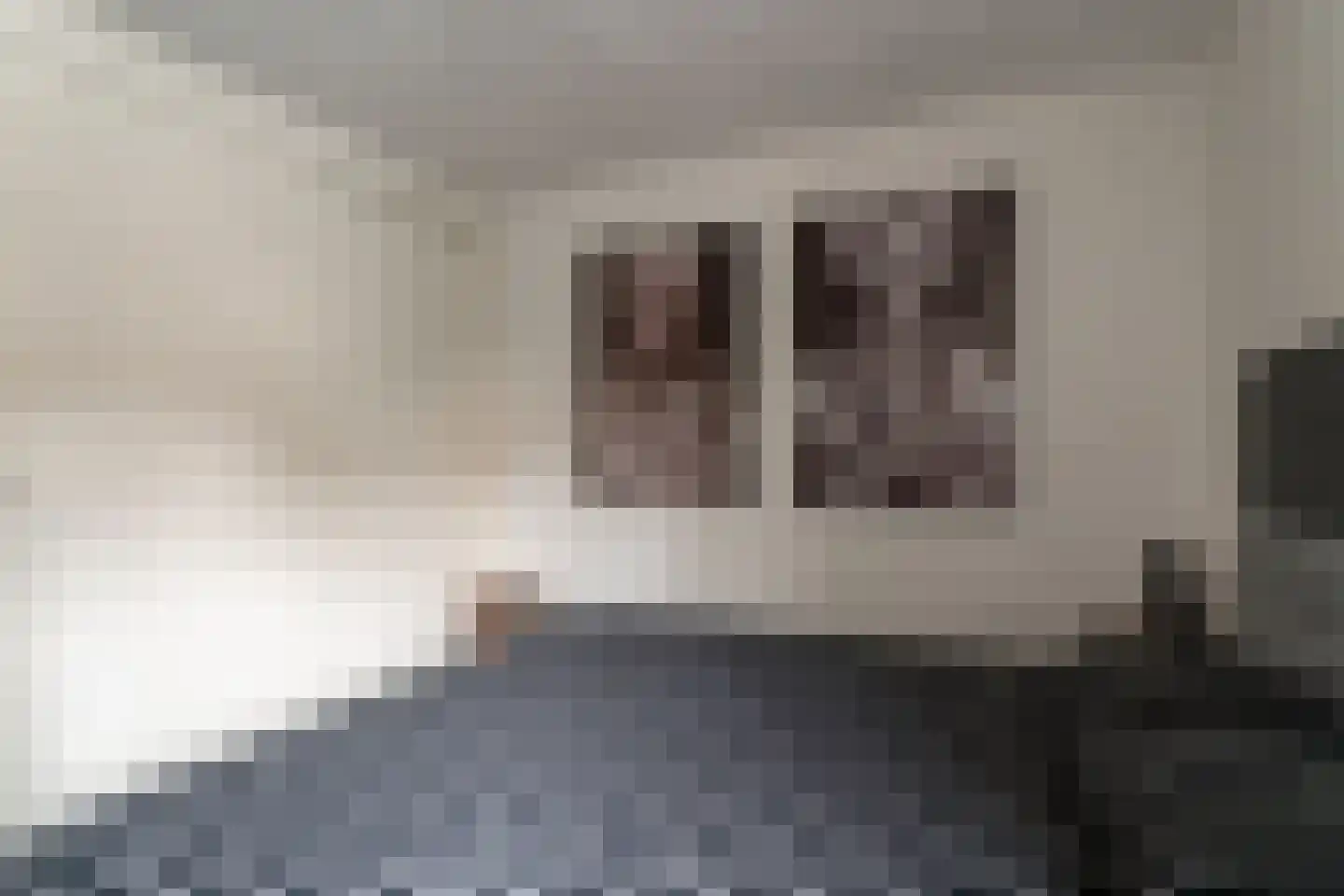 Giese Pan 45 Giesbeek thumbnail 23
