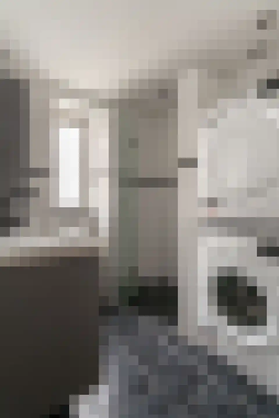 Giese Pan 45 Giesbeek thumbnail 4