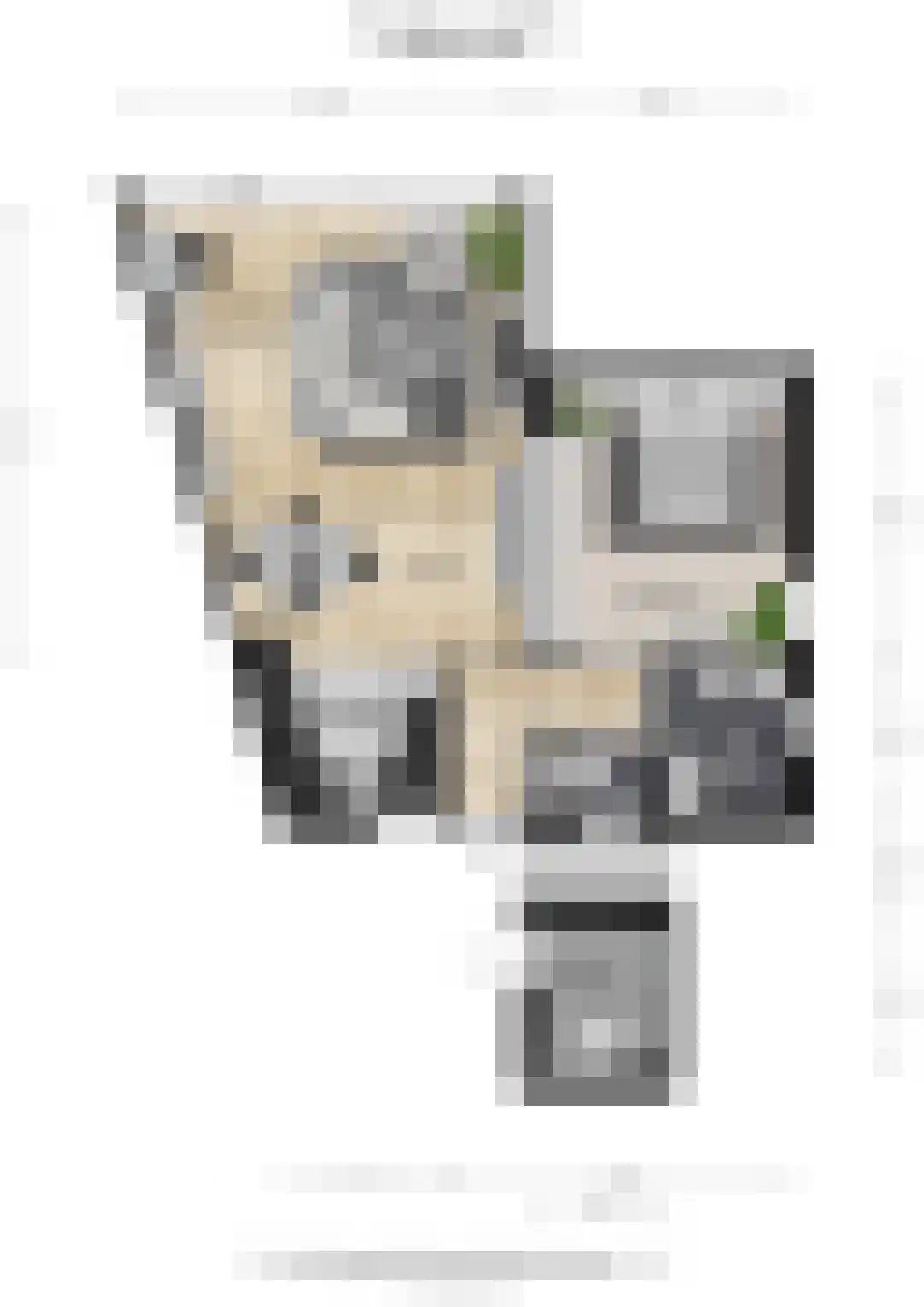 Giese Pan 45 Giesbeek thumbnail 43