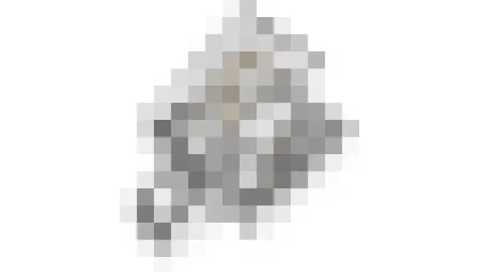 Giese Pan 45 Giesbeek thumbnail 44