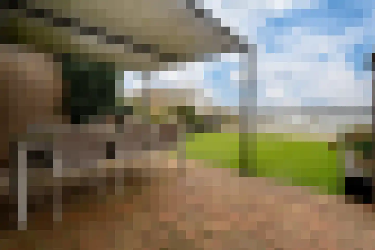 Giese Pan 45 Giesbeek thumbnail 5