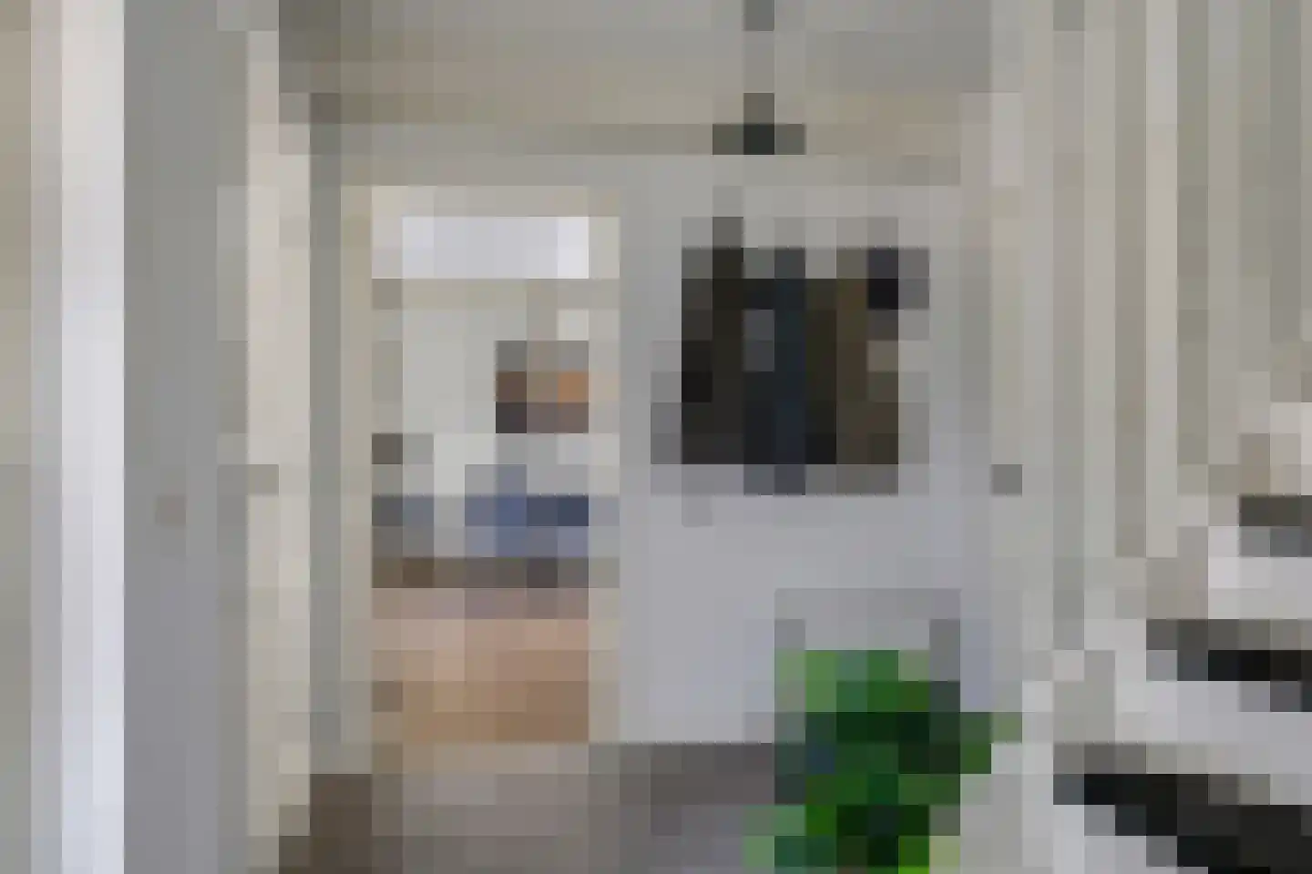 Gieser Wildeman 1 Dodewaard thumbnail 13