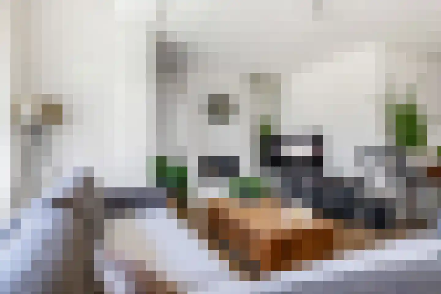Gieser Wildeman 1 Dodewaard thumbnail 17