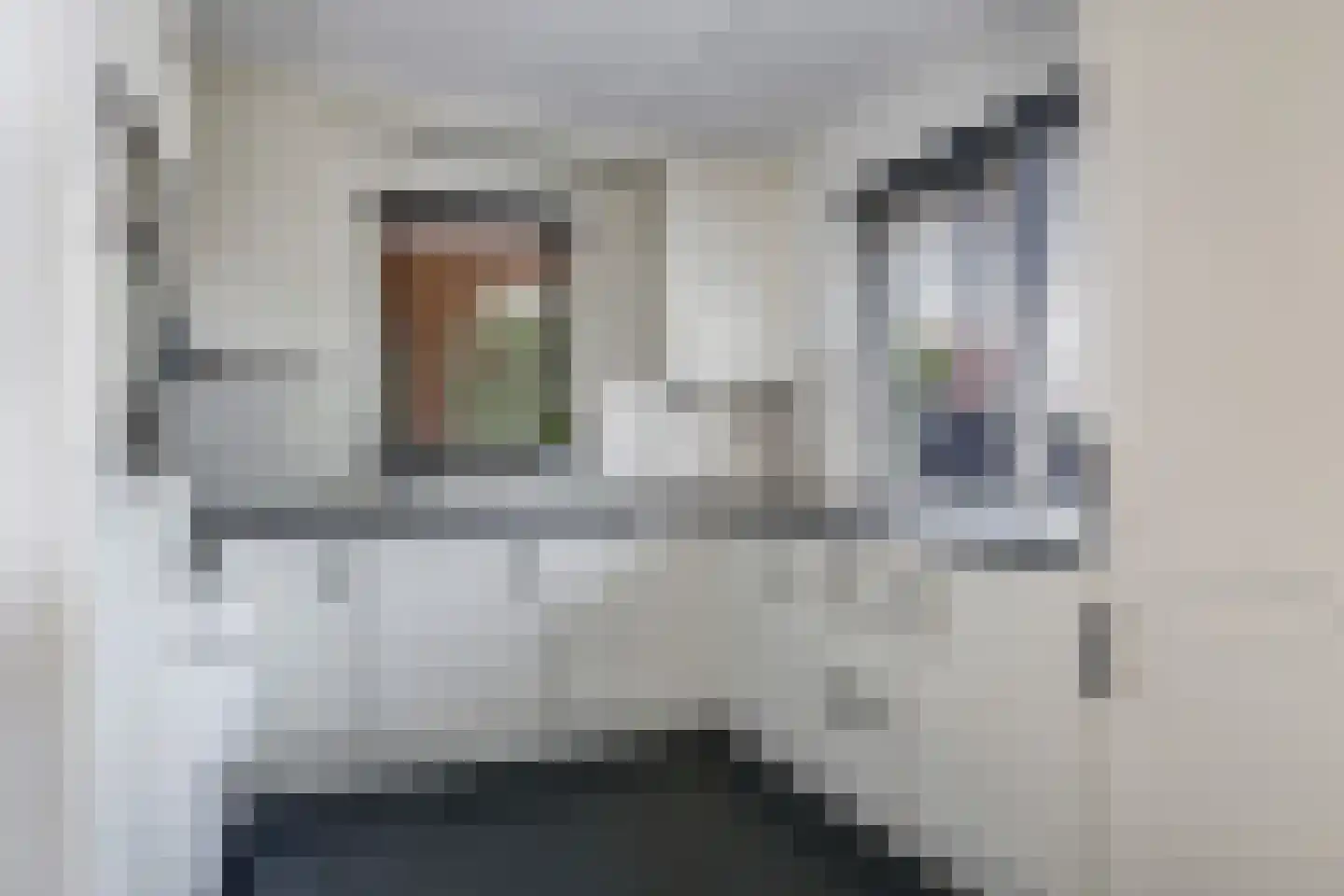 Gieser Wildeman 1 Dodewaard thumbnail 28