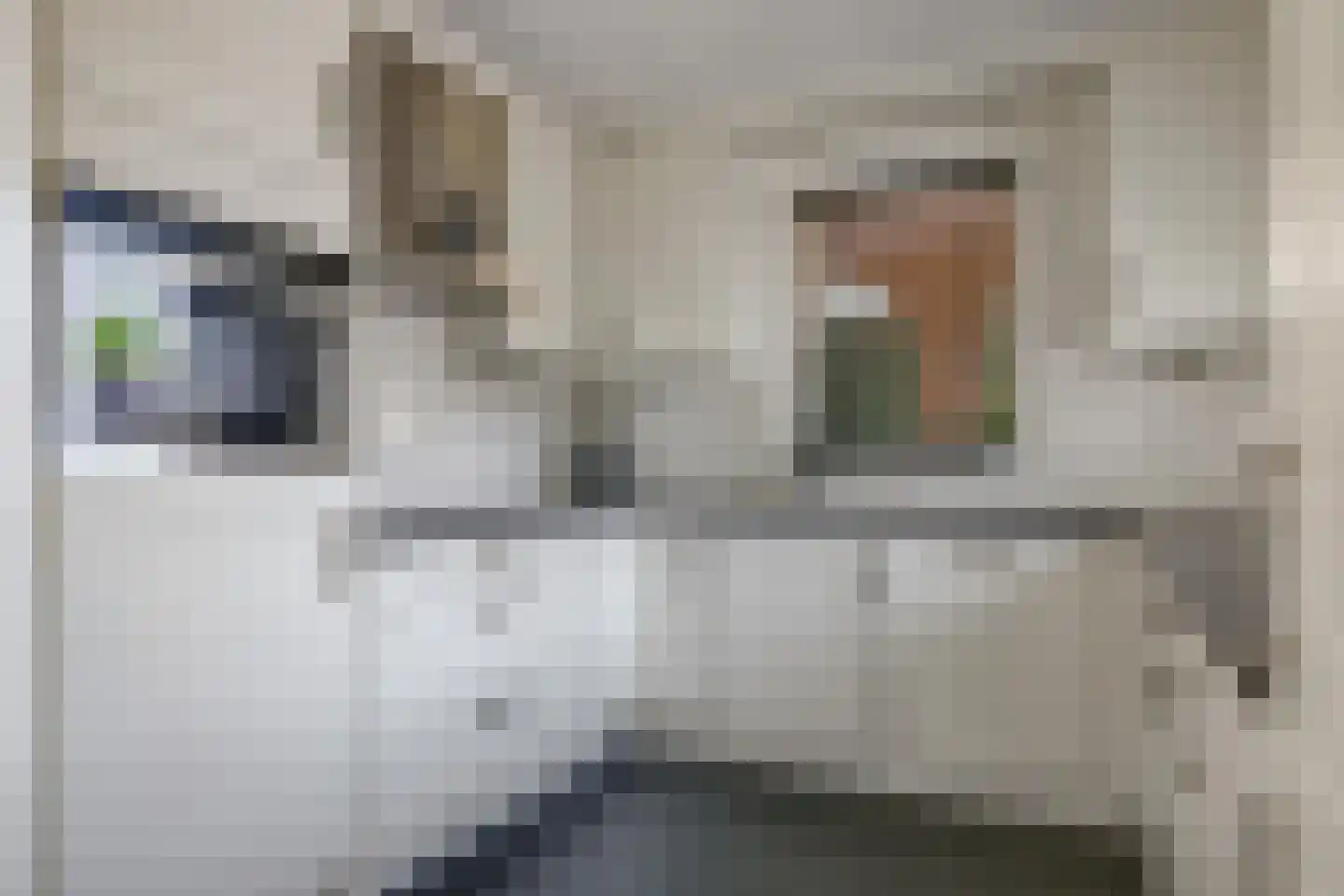 Gieser Wildeman 1 Dodewaard thumbnail 30
