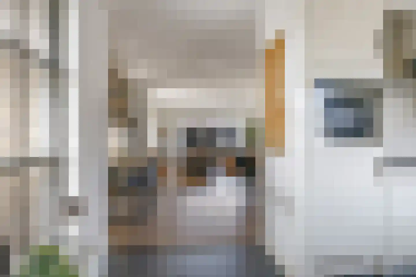 Gieser Wildeman 1 Dodewaard thumbnail 33