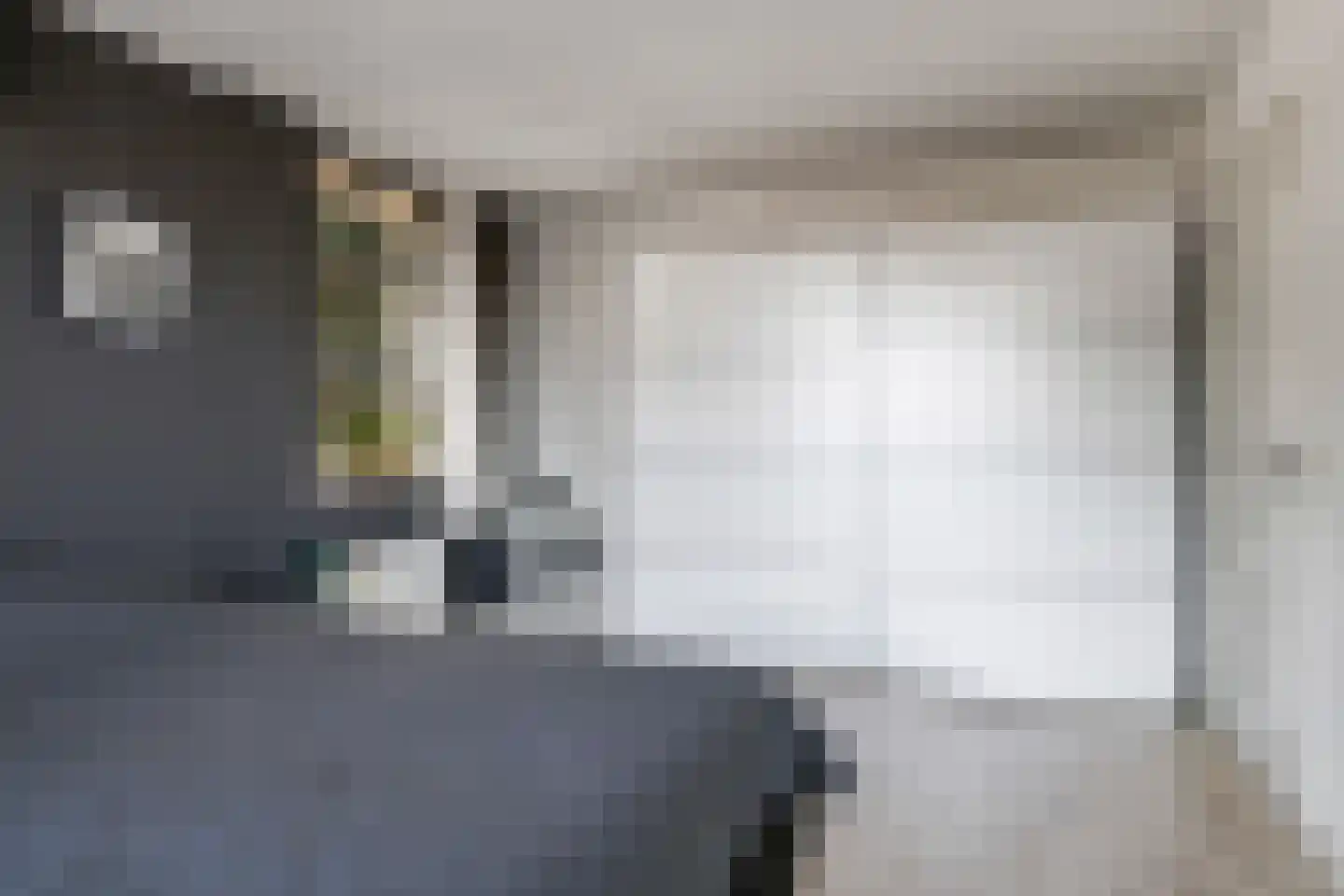 Gieser Wildeman 1 Dodewaard thumbnail 42
