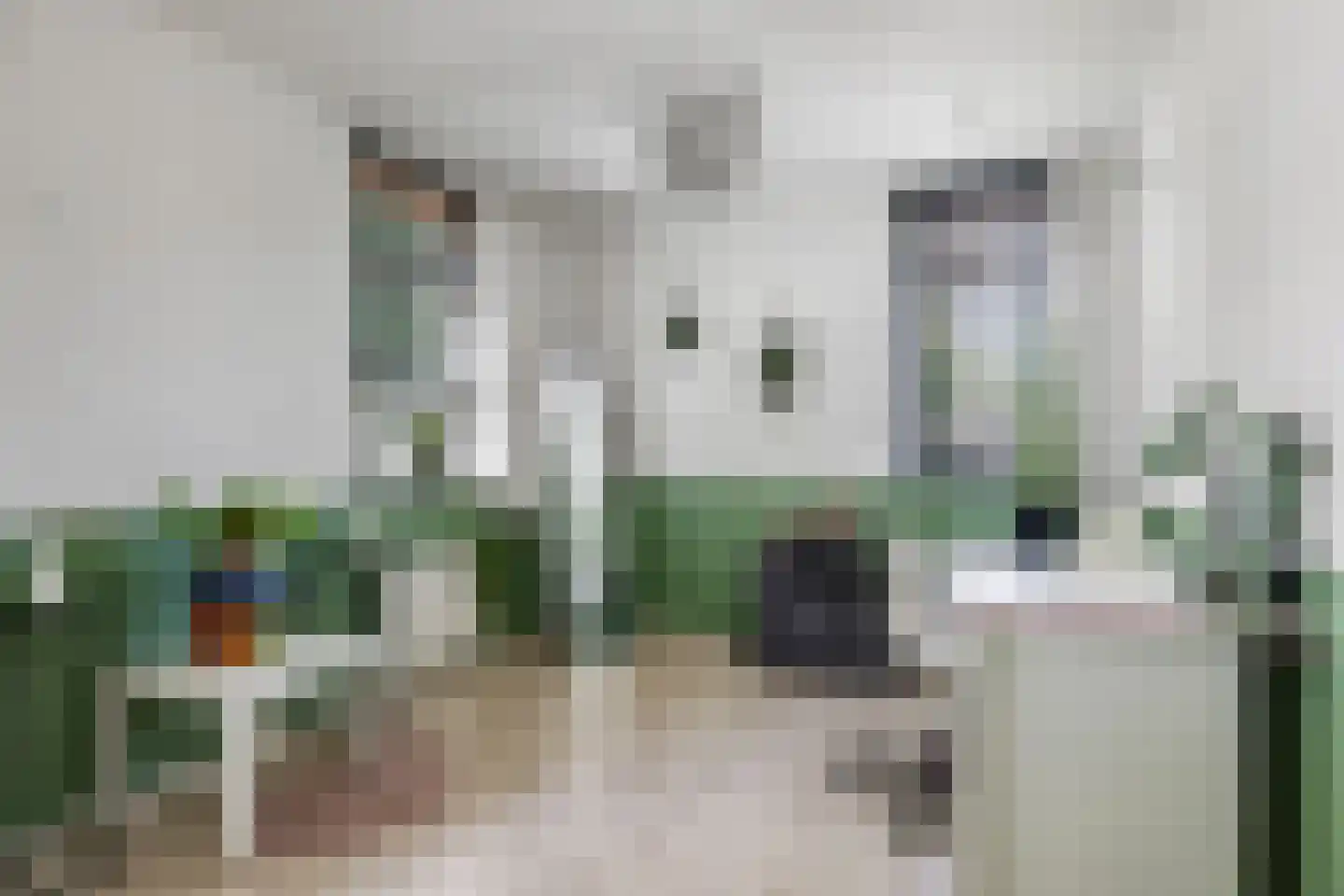 Gieser Wildeman 1 Dodewaard thumbnail 47
