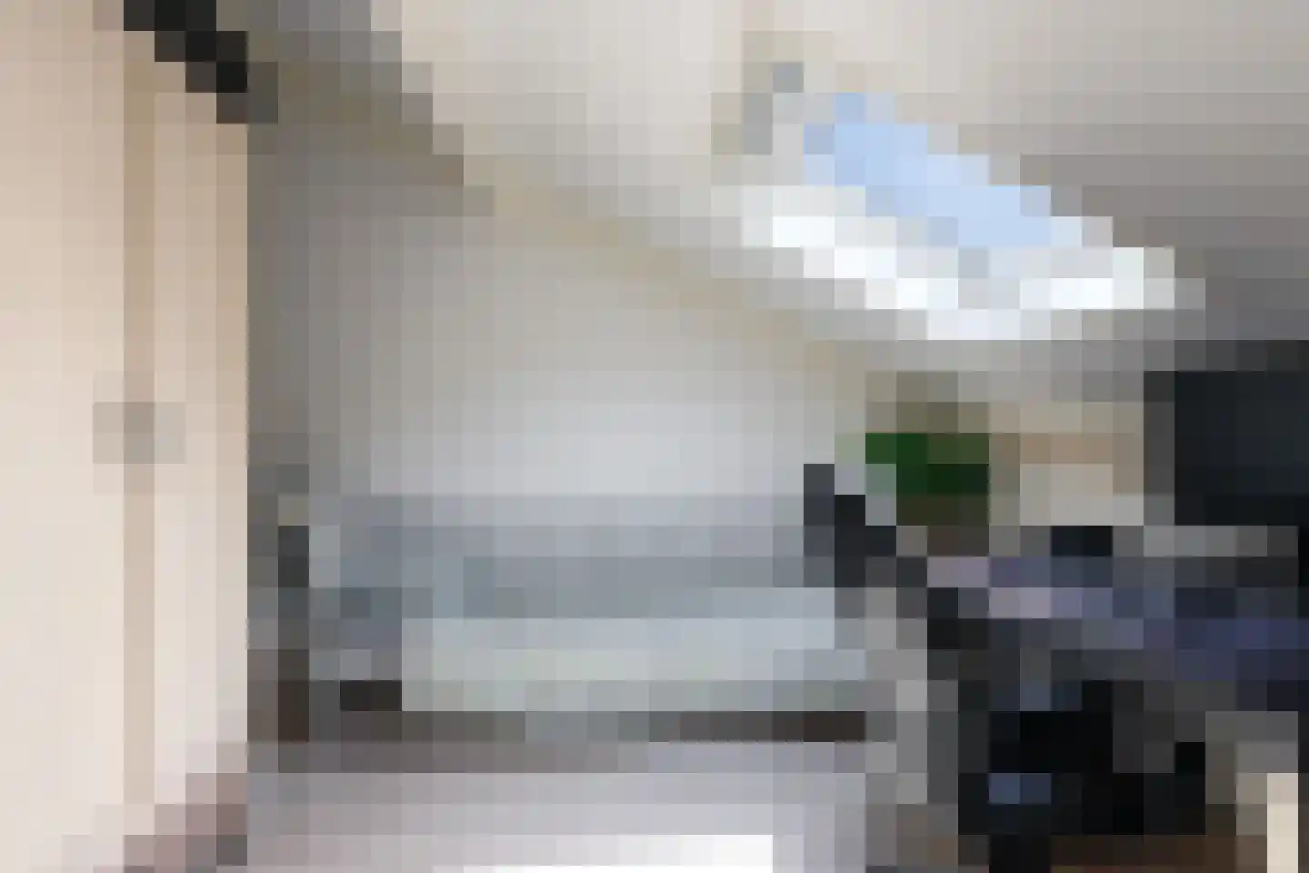Gieser Wildeman 1 Dodewaard thumbnail 54