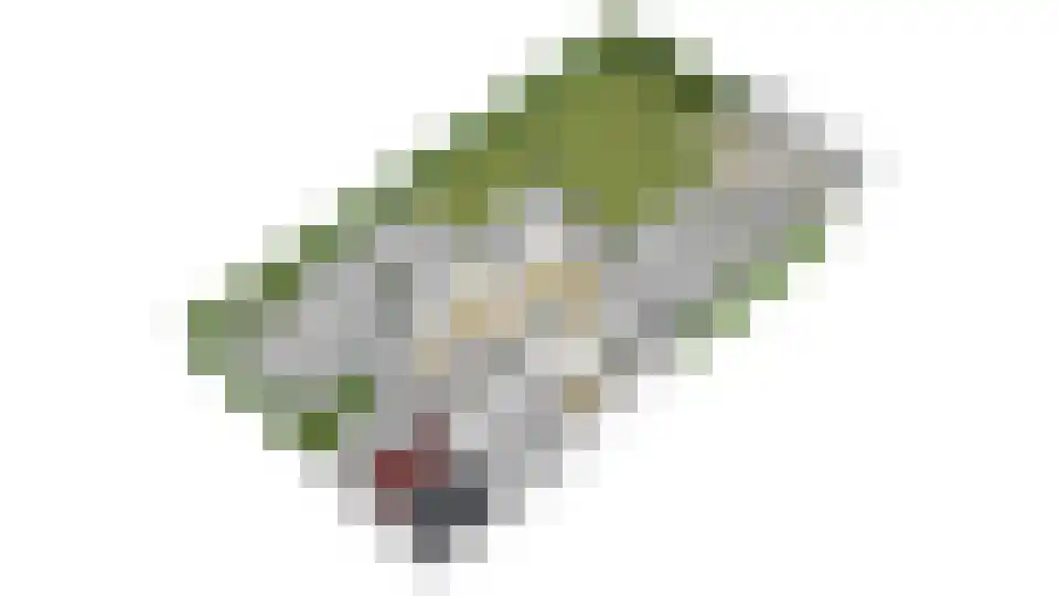 Gieser Wildeman 1 Dodewaard thumbnail 58