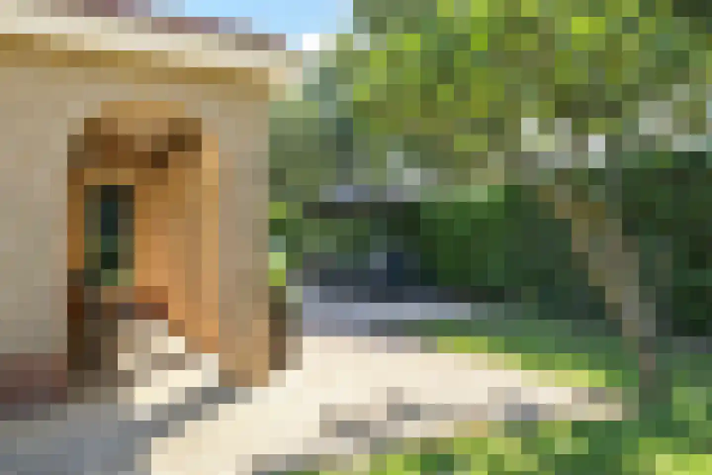 Gieser Wildeman 1 Dodewaard thumbnail 62