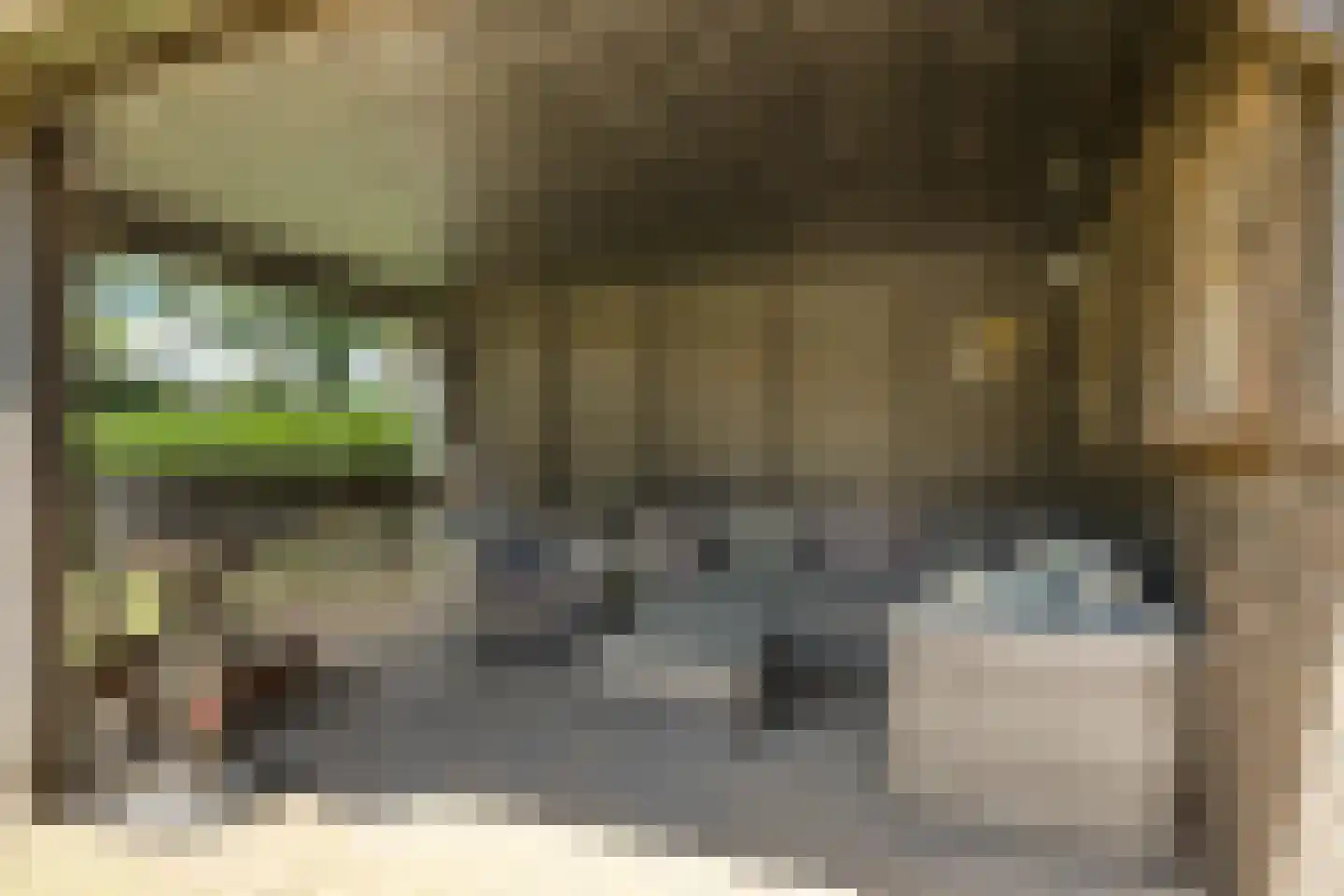 Gieser Wildeman 1 Dodewaard thumbnail 68
