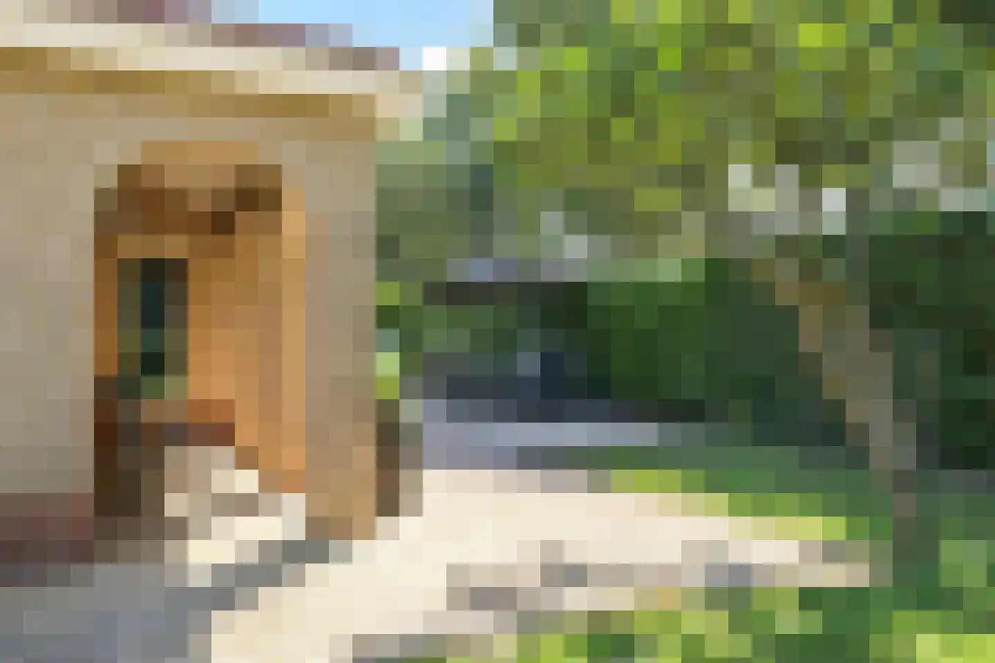 Gieser Wildeman 1 Dodewaard thumbnail 7